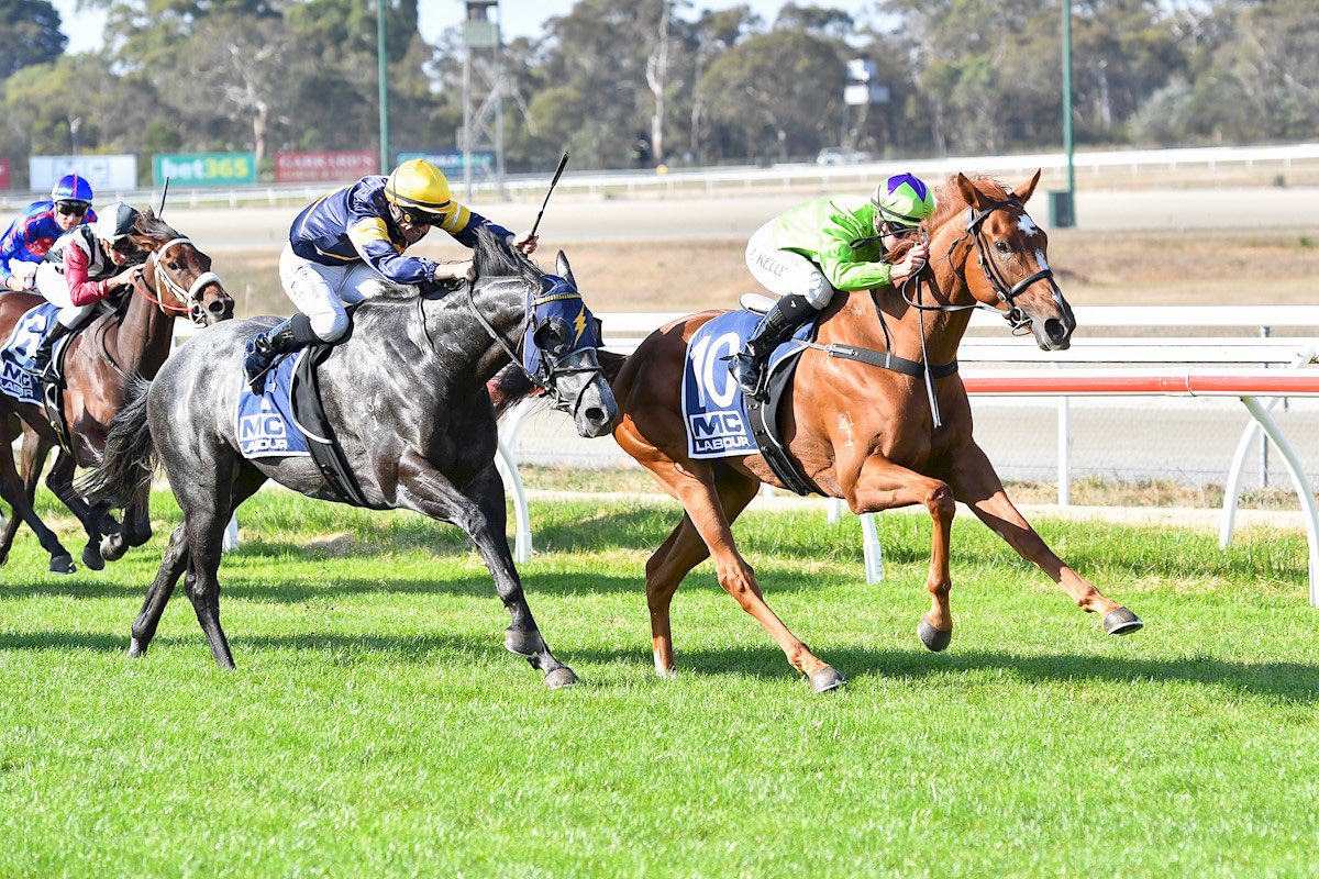 Liam Howley Racing (@howleyracing) on Twitter photo Fantastic to bring up win #100 for Liam Howley Racing with Donegal Soul winning well <a href="/KilmoreRC/">Kilmore Racing Club</a> today. She’s a promising filly who has started to reward her patient and large ownership group. A 10/10 ride from Alana Kelly
#mclabour #bet365 #winning #winningteam Fantastic to bring up win #100 for Liam Howley Racing with Donegal Soul winning well <a href="/KilmoreRC/">Kilmore Racing Club</a> today. She’s a promising filly who has started to reward her patient and large ownership group. A 10/10 ride from Alana Kelly
#mclabour #bet365 #winning #winningteam
