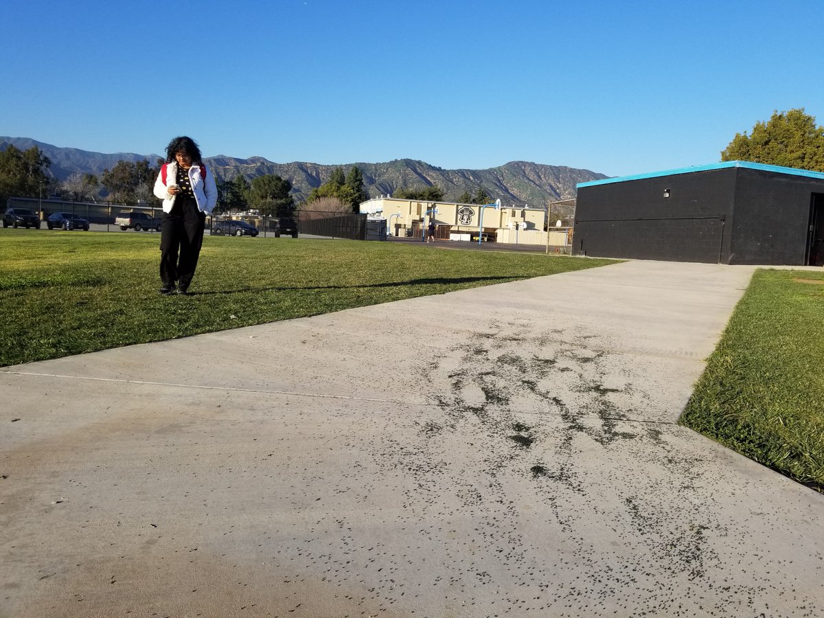 In "Repairing Toxic: Deferred Maintenance in Schools" Margaret Tebbe and Fred Ariel Hernandez suggest how late-industrial ethnography can make visible some of the toxic hazards in Los Angeles school buildings. roadsides.net/collection-no-…