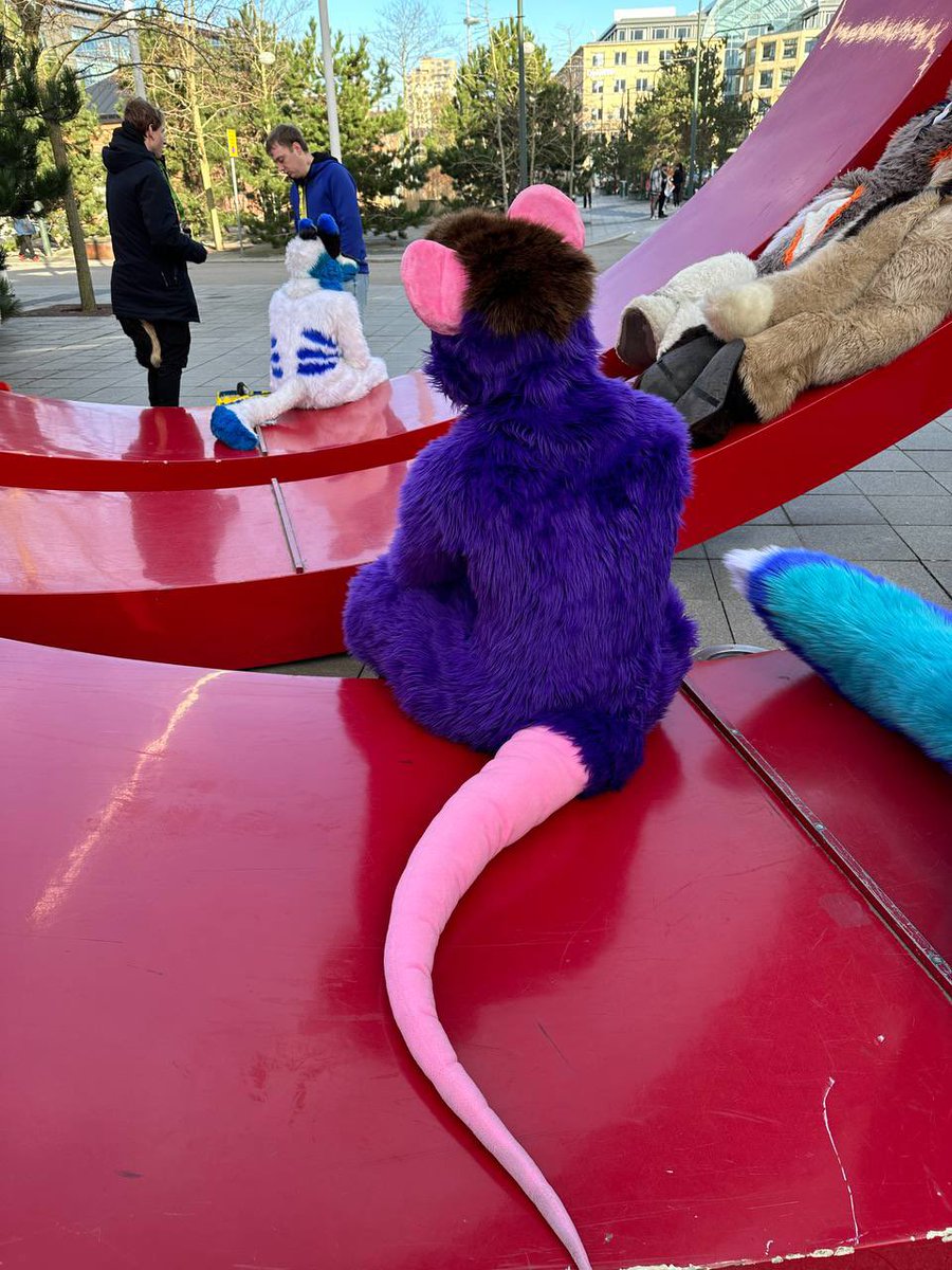 ScratchThatRat's tweet image. Why not haha