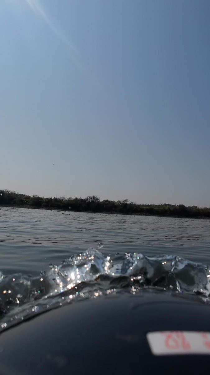 BoatmanBen's tweet photo. I have an eyes #fishingvideo #fishing #fish #carpfishing #fishinglife #nature #outdoors #boatman #actorplus https://t.co/bcVi42CUGQ
