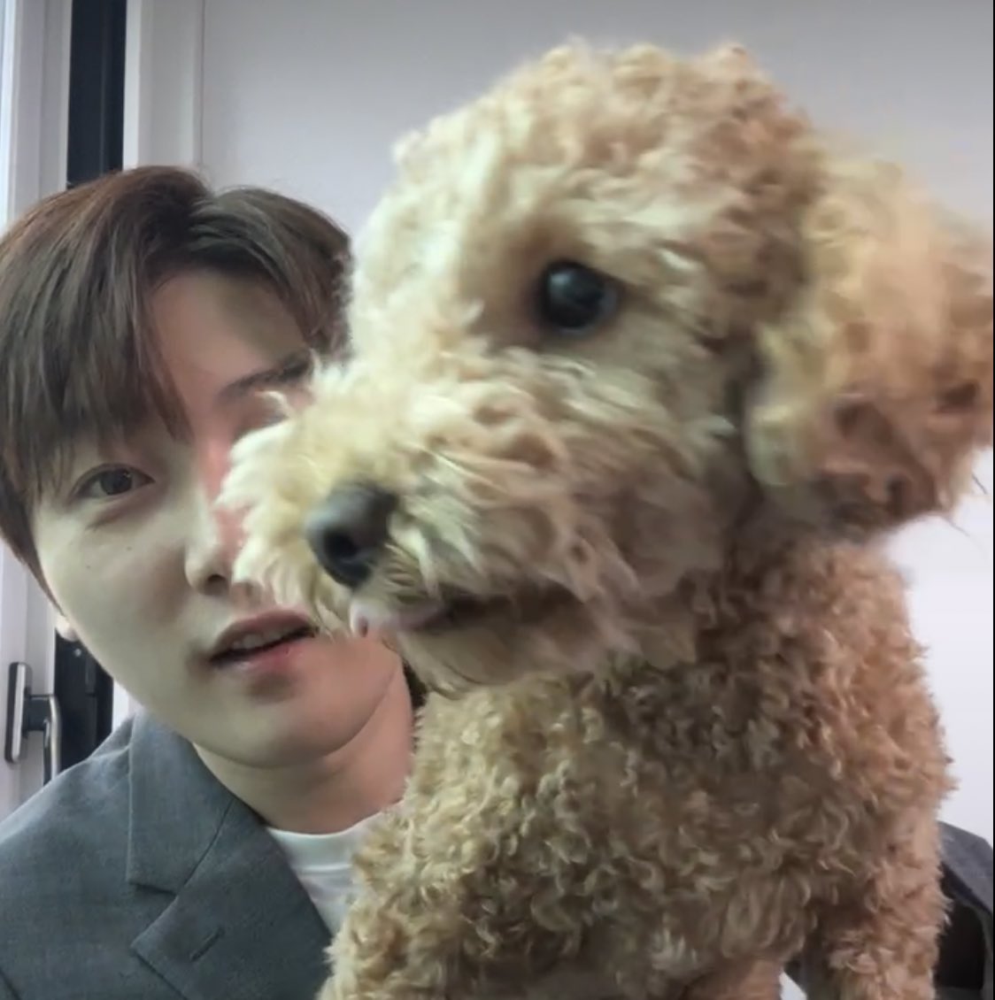 sssang111_'s tweet photo. 취준? 어학공부?
무슨 소리를 하는 거야, 꿈꿨어?
오늘 몽구 산책 하러 안 갈거야? https://t.co/lUkb2iJYBd
