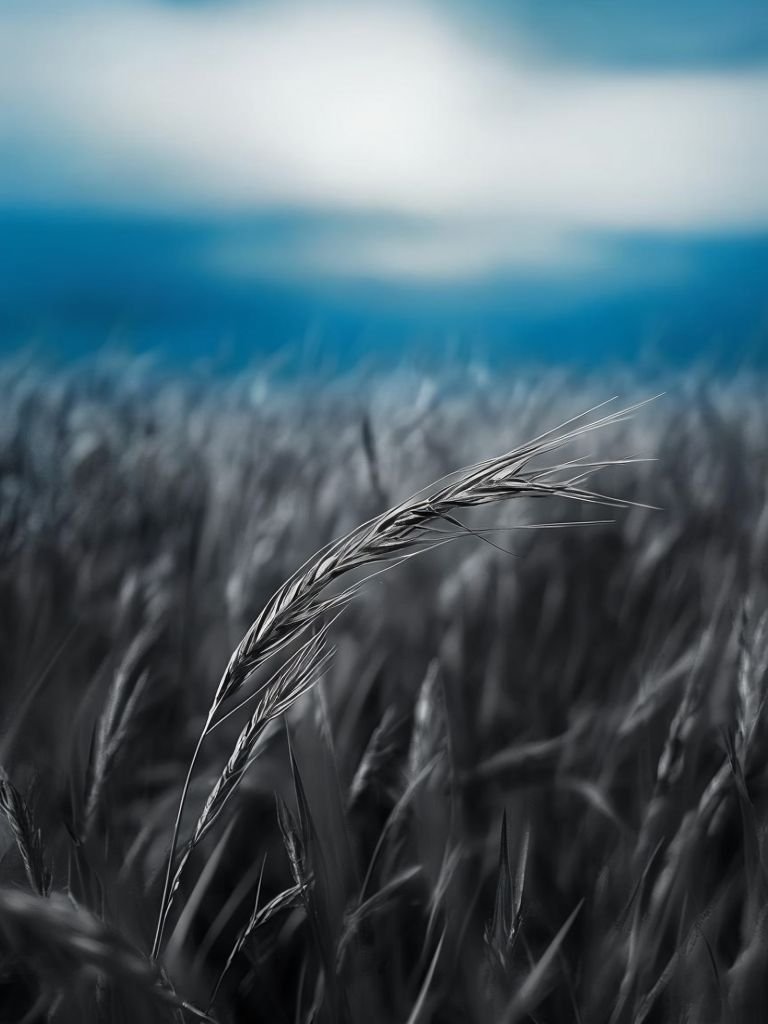 Gm ☀️
Happy Thursday Friend's ❤️

Bend, Not Break "
Edition 1/10
1.99 Tezos

objkt.com/tokens/KT1JP7Z…