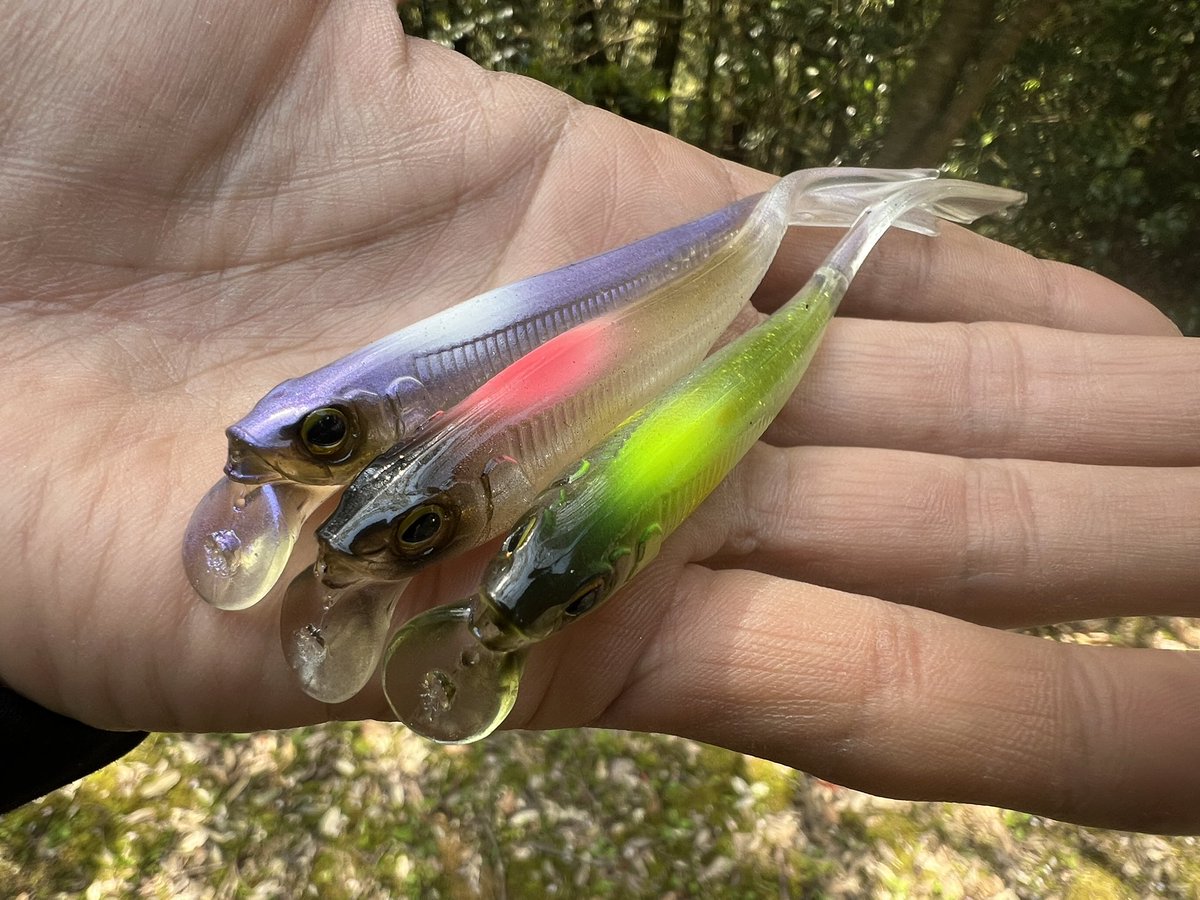 Hiroaki__Mizuno's tweet photo. ドリフトフライエラストマー４"の新色はとにかく視認性抜群🤩🙋‍♂️

浮いたメスを続々とキャッチ中です😊

0.7gホバストセッティングだと、ほぼサスペンド状態でネチネチと浅いレンジをロールさせれます✌️

このワームのリップの恩恵で、ホバストに慣れない方でもキレイにアクション出せるのが、最大の強み🔥だね👍
これからアフター期にかけて、数が釣れる釣りでもあります😊

@JACKALL_Inc