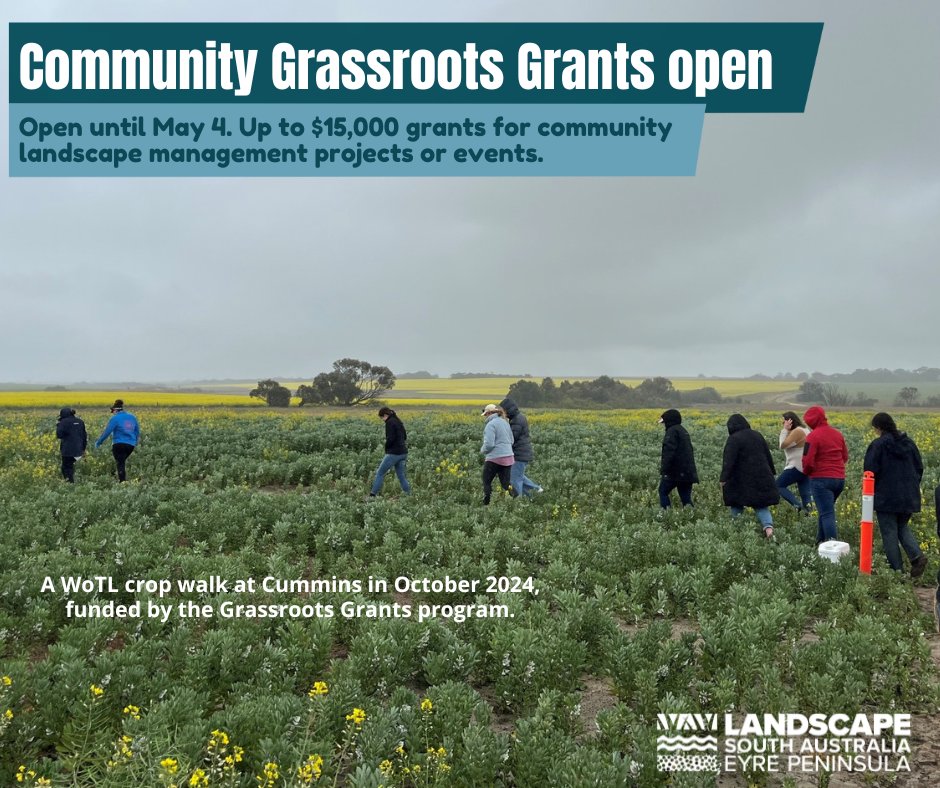 Eyre Peninsula Landscape Board (@eplandscapesa) on Twitter photo Less than one week now to submit an application for a grant up to $15,000 for natural resources management projects. Applications are open until May 4.
Find out more 👉landscape.sa.gov.au/ep/grants Less than one week now to submit an application for a grant up to $15,000 for natural resources management projects. Applications are open until May 4.
Find out more 👉landscape.sa.gov.au/ep/grants