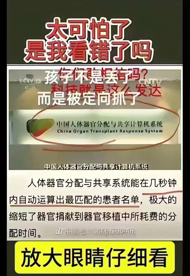 各位中國人你的孩子不是走丟了，而是被定向抓走了。