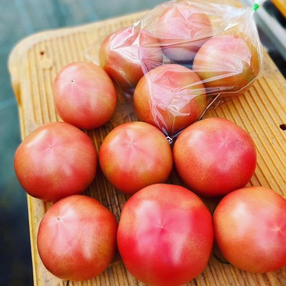 KIKI70812835's tweet photo. 今週末のみ！
土壌栽培のトマトが店頭に並びますよ😄ワーイ🍅
美味しいものは、皆にも知ってもらいたいです🎵是非是非😆
数に限りがありますので、お早めにご購入ください☺️
@sadygaga https://t.co/4QCfWhvzer