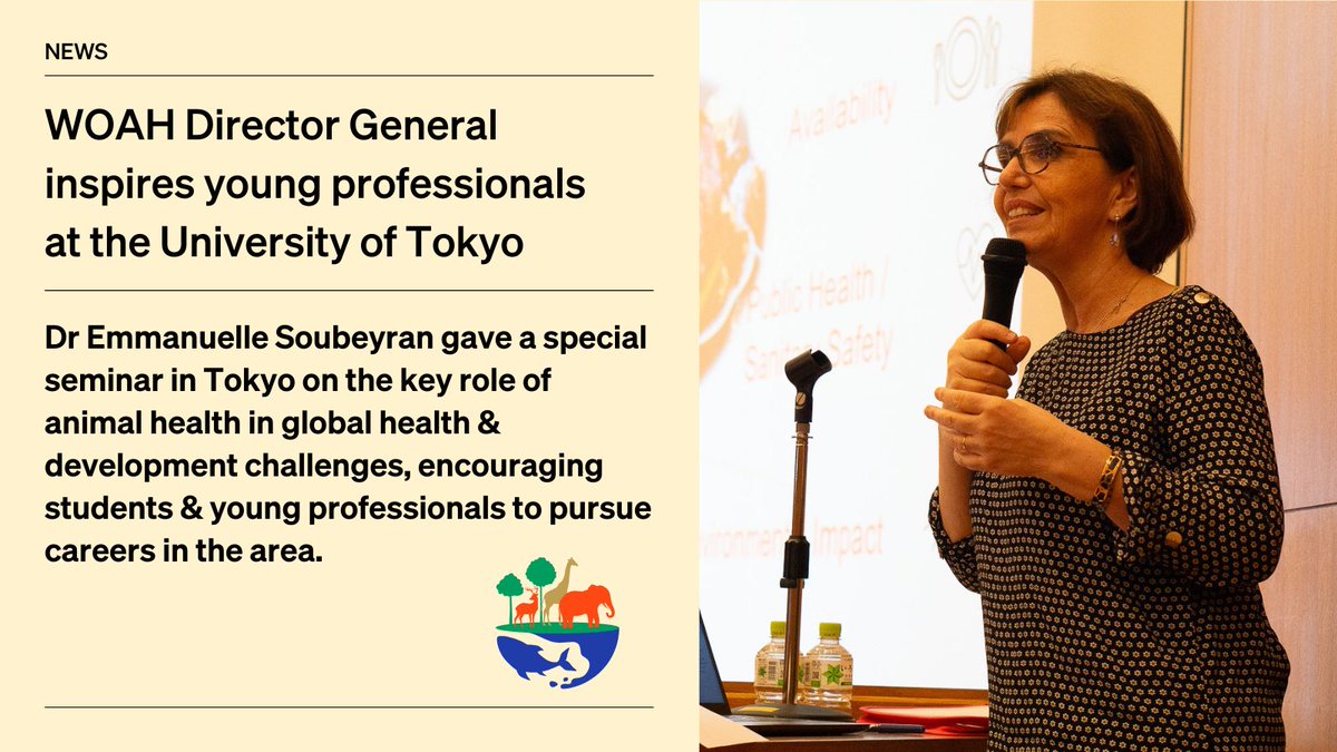 World Organisation for Animal Health in Asia (@woah_asia) on Twitter photo Our <a href="/WOAH_DG/">Dr Emmanuelle Soubeyran</a> came to <a href="/UTokyo_News_en/">UTokyo | 東京大学</a> to address faculty, young professionals & staff with inspiring messages on the place of #animalhealth in #OneHealth & society. 🌏 🦥 🐡 🥼 🌱
📖 Read all about it: rr-asia.woah.org/en/news/woah-d… Our <a href="/WOAH_DG/">Dr Emmanuelle Soubeyran</a> came to <a href="/UTokyo_News_en/">UTokyo | 東京大学</a> to address faculty, young professionals & staff with inspiring messages on the place of #animalhealth in #OneHealth & society. 🌏 🦥 🐡 🥼 🌱
📖 Read all about it: rr-asia.woah.org/en/news/woah-d…