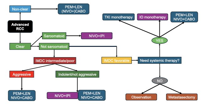 YujiMiura5's tweet photo. Our team's review on 'Personalized treatment for mRCC' is now published! Exploring recent advances in targeted therapies, immunotherapy, and biomarker-guided approaches. #KidneyCancer #PrecisionMedicin
https://t.co/cxSrM0u0Dr https://t.co/TlObWnJSYt