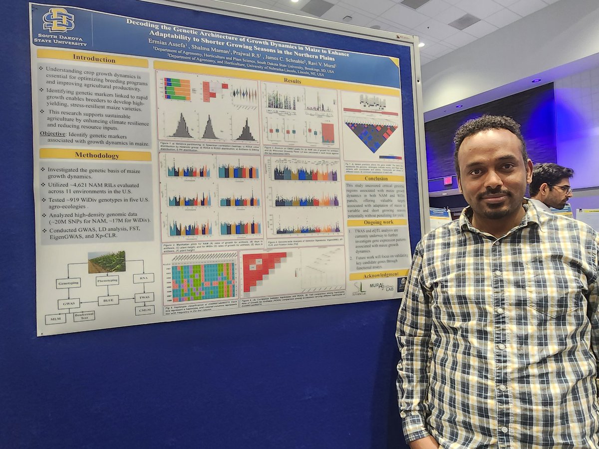 ShalmaMaman's tweet photo. Kudos to all the grad students who presented their research today on Grad Research Day. It was a pleasure representing Mural Lab. Big shoutout to  Ermias and Prajwal. we did it! Our lab is growing stronger with exciting work and great teamwork all around✨ @ravi_mural @SDState https://t.co/YU7pGW8JvZ