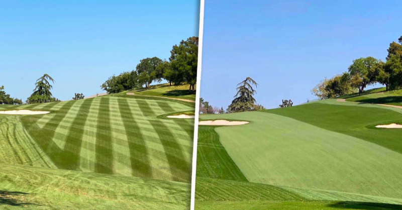 USGAGrnSection's tweet photo. We did a research project with @spattyspat @contracostacc to study the difference in fairway mowing time between stripes and a 50-50 pattern. Check out the results 👇