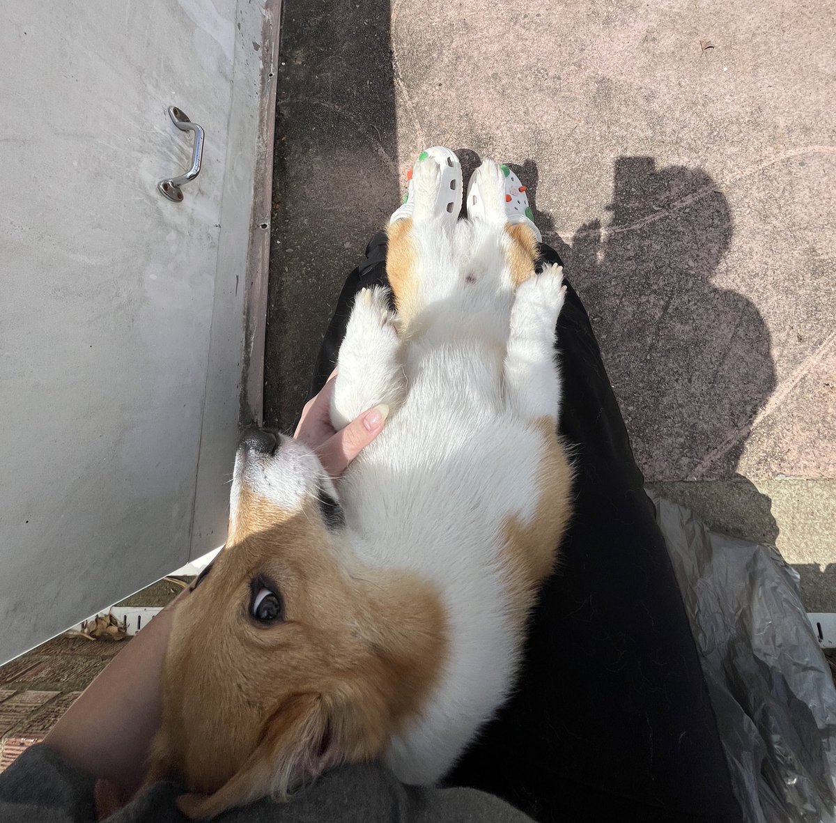icedsweettaee's tweet photo. why’s he looking at me like that 😭😭 https://t.co/GjUyzDFWZZ