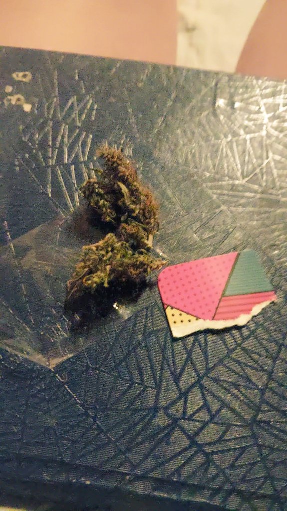 JParcks's tweet image. Deje el amor por las drogas y ahora entiendo mejor las cosas .