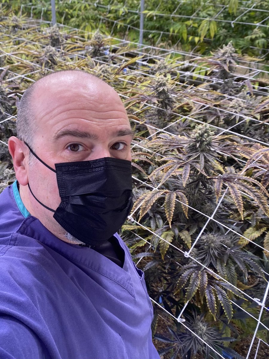 bashinbrian's tweet photo. @HammerDAHN 
So, I know you guys are SUPER busy in Vegas this weekend, but I would like to extend an invitation to you and all the boyz to take a quick tour of my LEGAL organic cannabis grow facility. 
It’s across from the stadium and we listen daily. Would love to have you over https://t.co/2cNVMdlg04