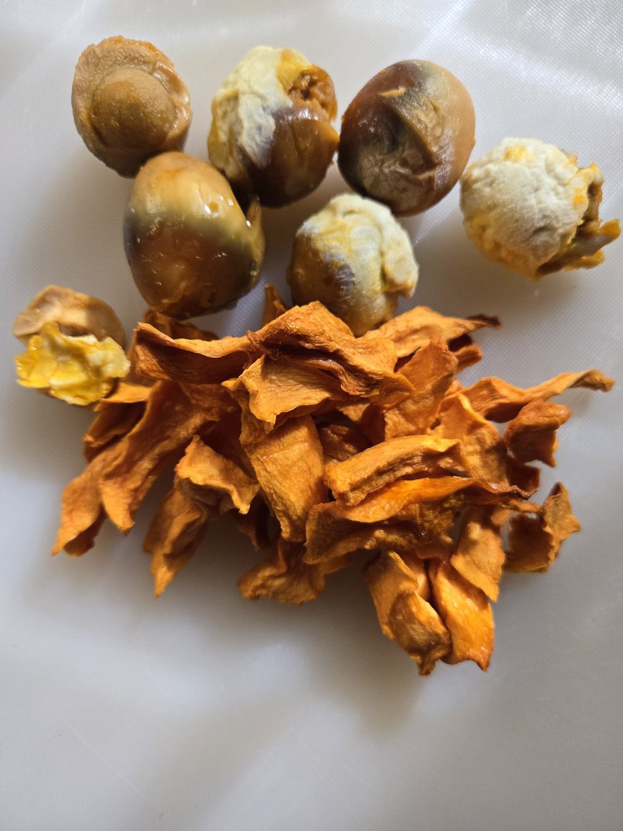 dymoblas's tweet photo. All dehydrated premium meats and natural flavors &amp; natural infused ingredients. #Dymoblas https://t.co/IwVQyodhAm