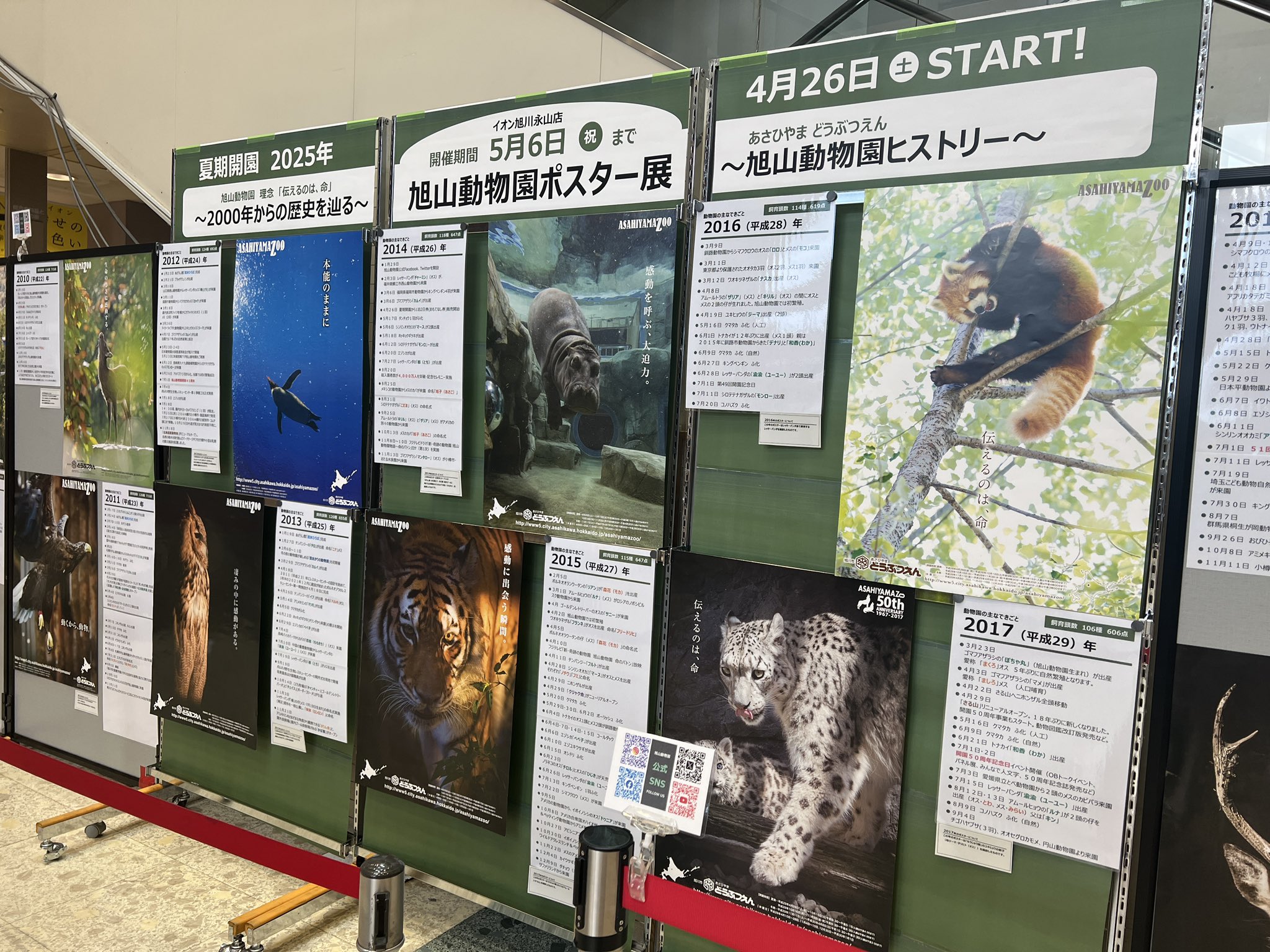 驚きの値段での商品をすべて ご当地キティ4点 値下げしました