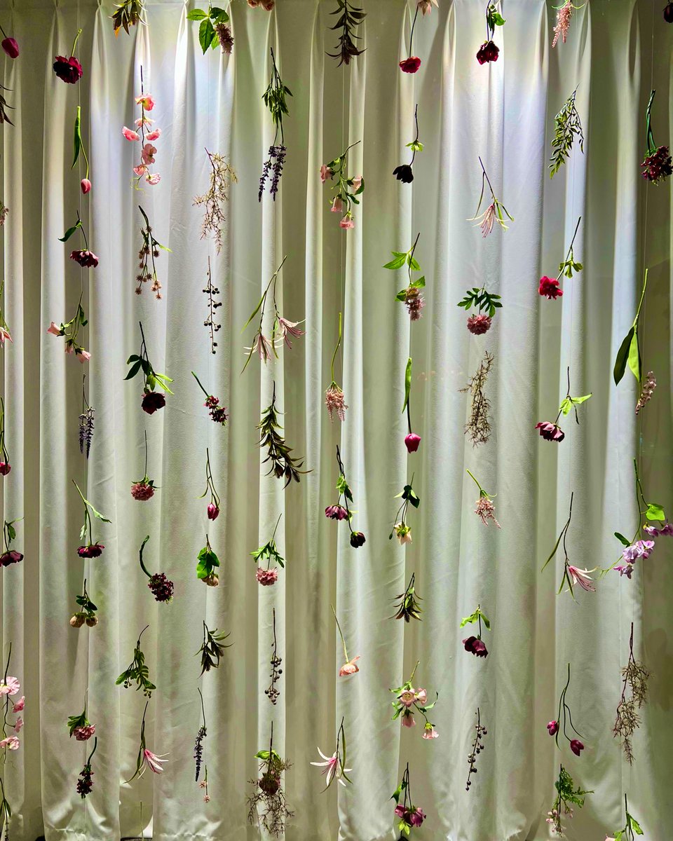 “삶은 작고 희귀한 것이라 세심하게 다루어야 한다. 멀리멀리, 크게 크게, 보다는 다정하게.”