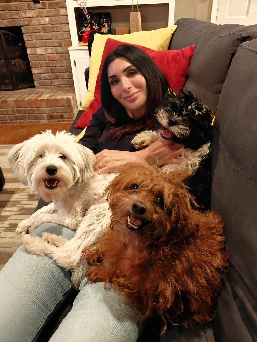 3 of my rescues. They all want to compete for my attention. There’s enough cuddles for everyone to go around. 

3 very jealous dogs on my lap and a jealous 70 pound bulldog on the floor! 🐶 ❤️
