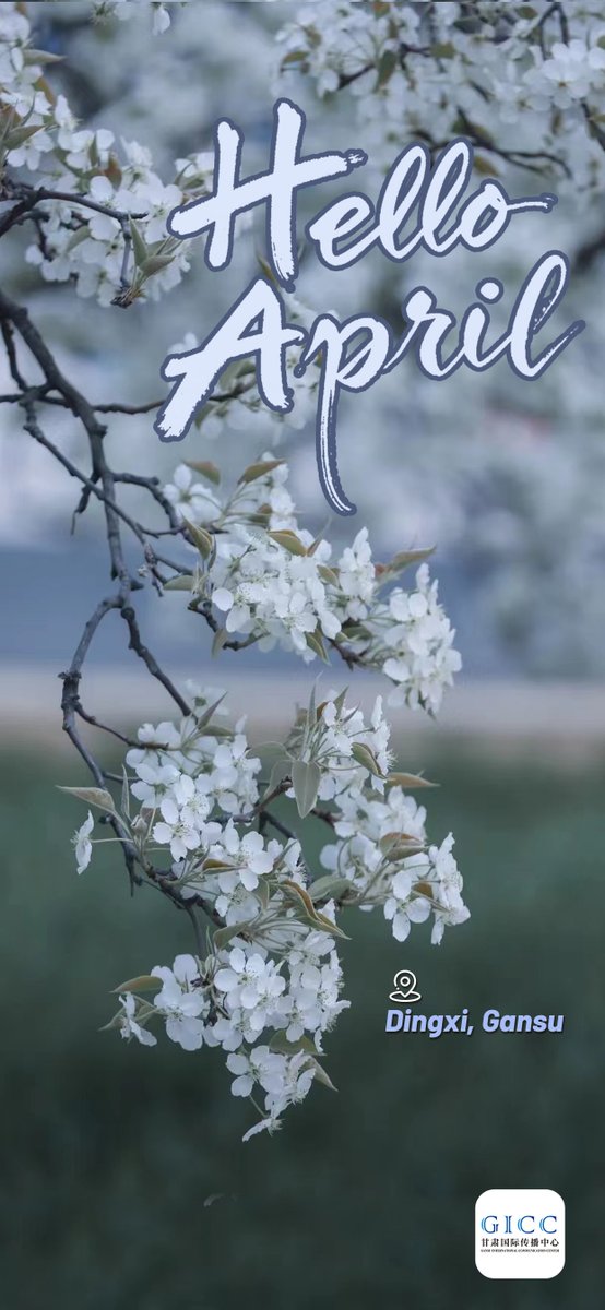 ExploreGansu's tweet photo. #HelloApril: Capture the scenery, embrace the spring.
💮🌼🎥Come to #Dingxi city, #Gansu province where April wears its finest colors. #SpringInGansu #GansuTravel https://t.co/iNb9oydyxi