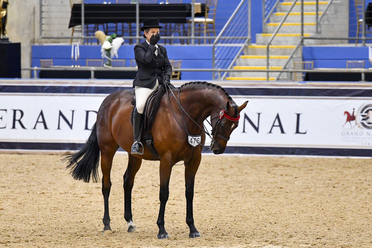 NZBAirfreight's tweet photo. Julie Wylie-Parkinson & her beautiful OTTB #BonGarcon also competing at the Grand Nationals in Sydney recently. 🐴😍
#FirstClassFlyers #GoingtheExtraMile🌍✈️ https://t.co/rNuRGgbZy8