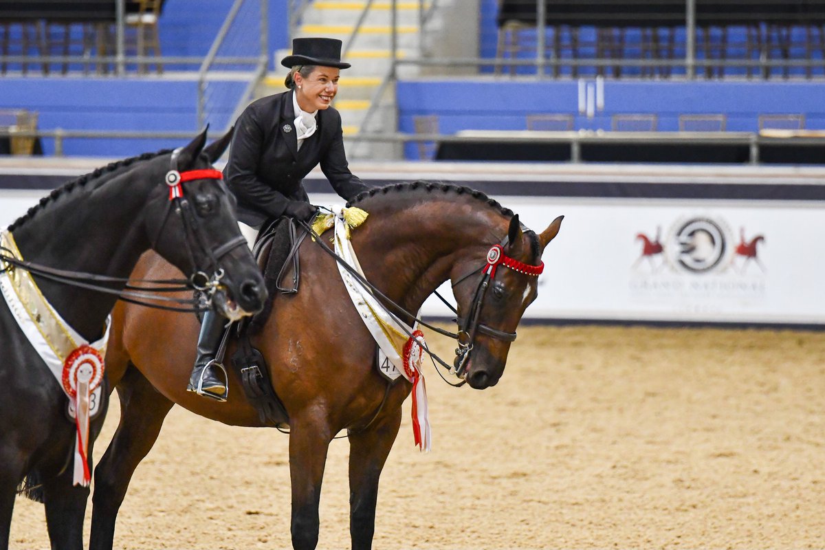 NZBAirfreight's tweet photo. Julie Wylie-Parkinson & her beautiful OTTB #BonGarcon also competing at the Grand Nationals in Sydney recently. 🐴😍
#FirstClassFlyers #GoingtheExtraMile🌍✈️ https://t.co/rNuRGgbZy8