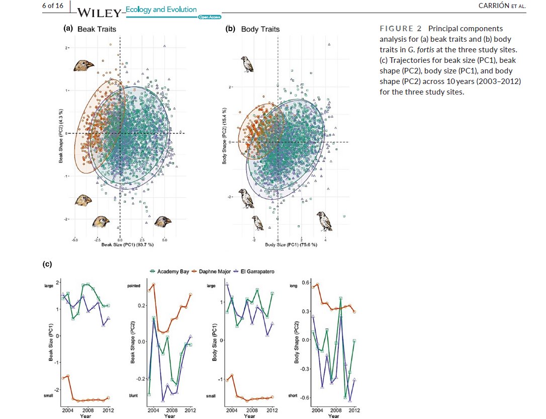 Congratulations to Paola Carrion-Aviles on today's successful defense of her PhD thesis: 

The terroir of the finch: spatio-temporal dynamics in the evolution and ecology of Darwin’s finches.