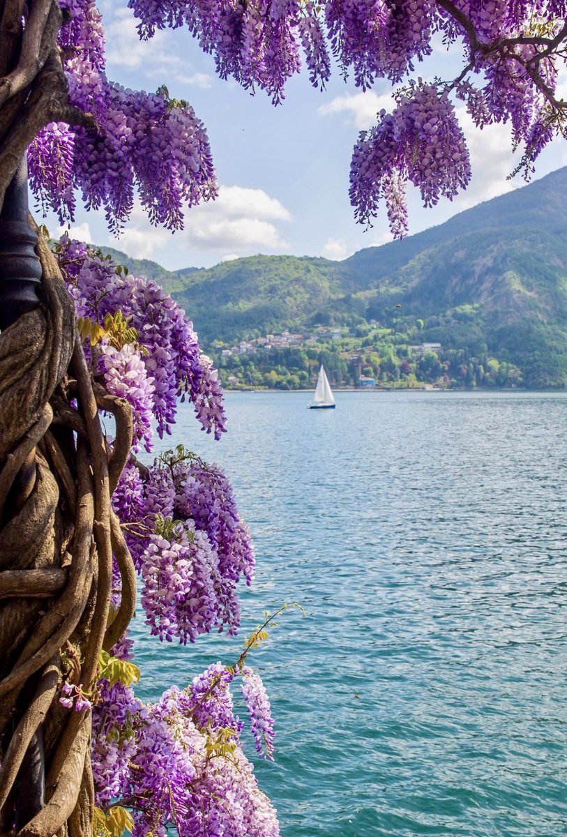 Good Morning 
Have a Wonderful Day 

(Italy,📷 Pinterest)