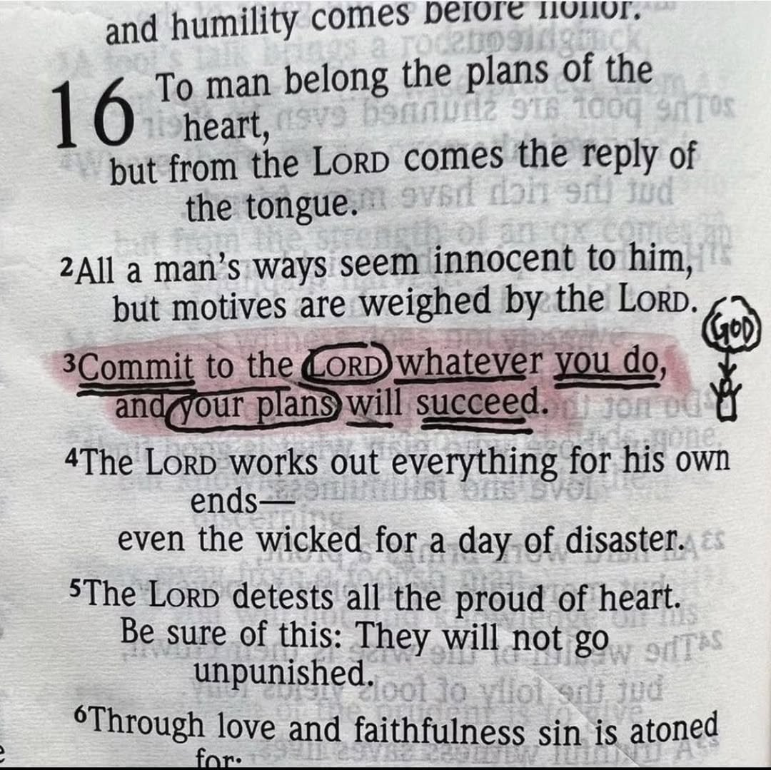 Holy Bible (@holy__bible1) on Twitter photo 