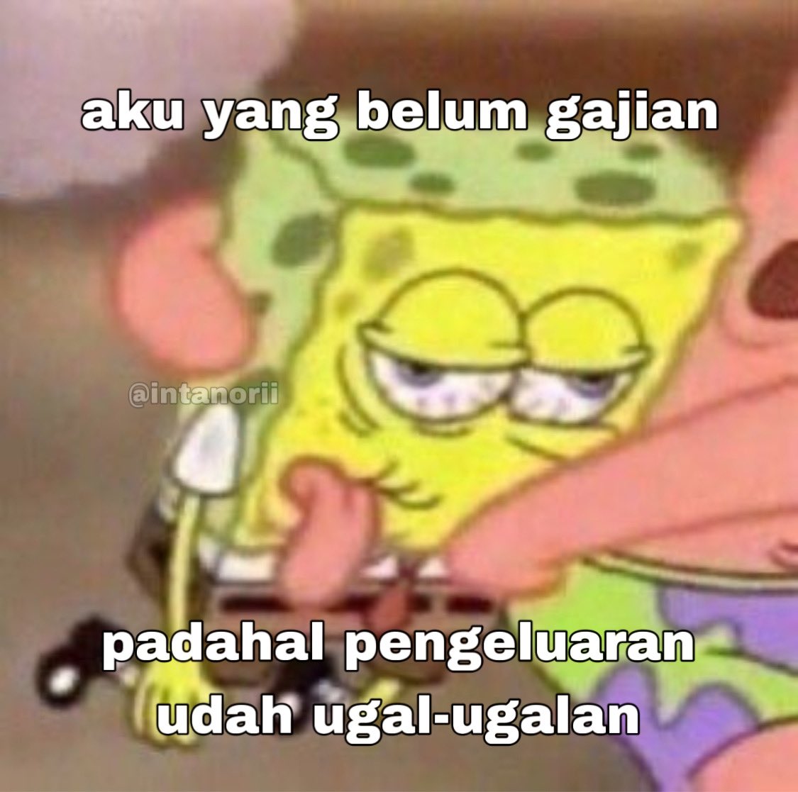 Intan Ori tweet media