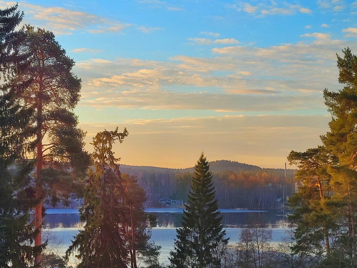 Timo Määttä tweet media