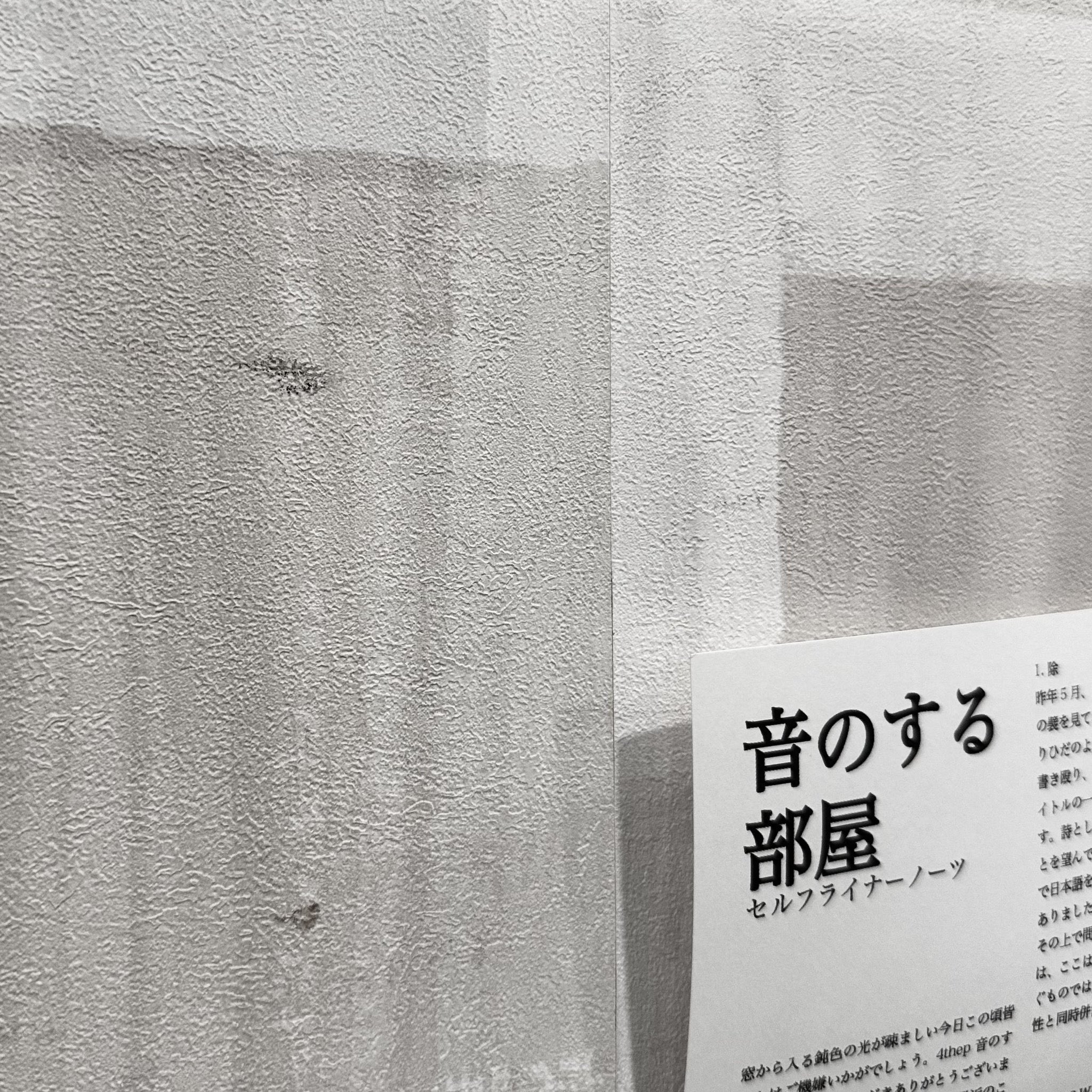 君島大空 広報 on X: 