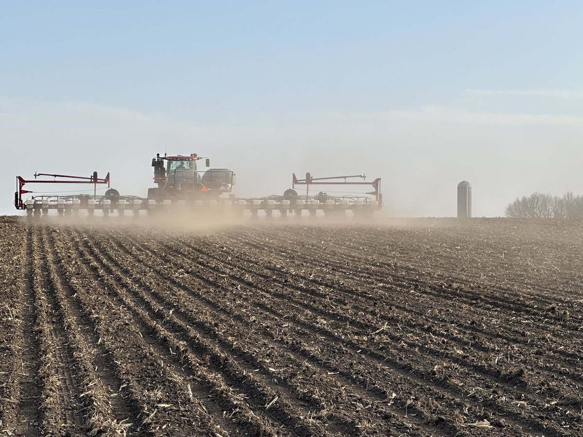 Plot day 1-14 hybrids testing for silage tons and value. 

Plot day 2-18 hybrids for the combine chasing yields!!
<a href="/LGSeeds/">LG Seeds</a> <a href="/DairylandSeed/">Dairyland Seed</a> <a href="/ColtBullerman/">Colt bullerman</a>