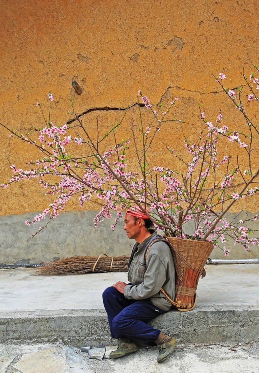Liu Minhua, a migrant from the Three Gorges reservoir area, carefully carried a peach tree that once grew in front of his home, as he said goodbye to his hometown where he was born and grew up, 2012, by Li Feng李风.

The Three Gorges Project is the largest hydropower project in