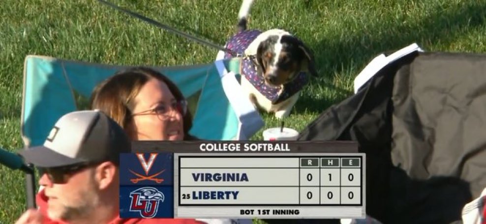 No Context Liberty tweet media