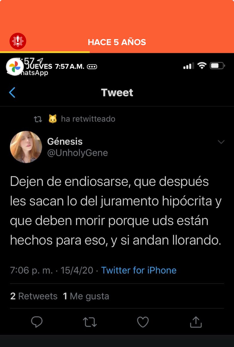 rocamoreno 🎩 tweet media