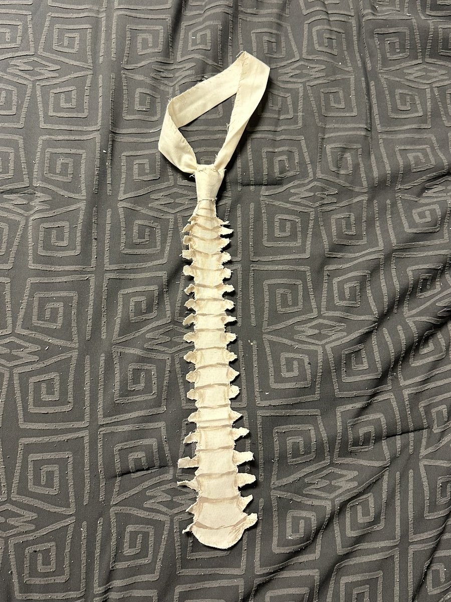 Spine tie