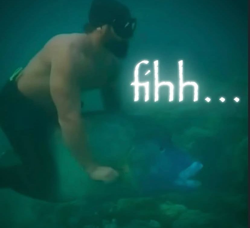 //𝙈𝙞𝙭𝙏𝙖𝙥𝙚 tweet media