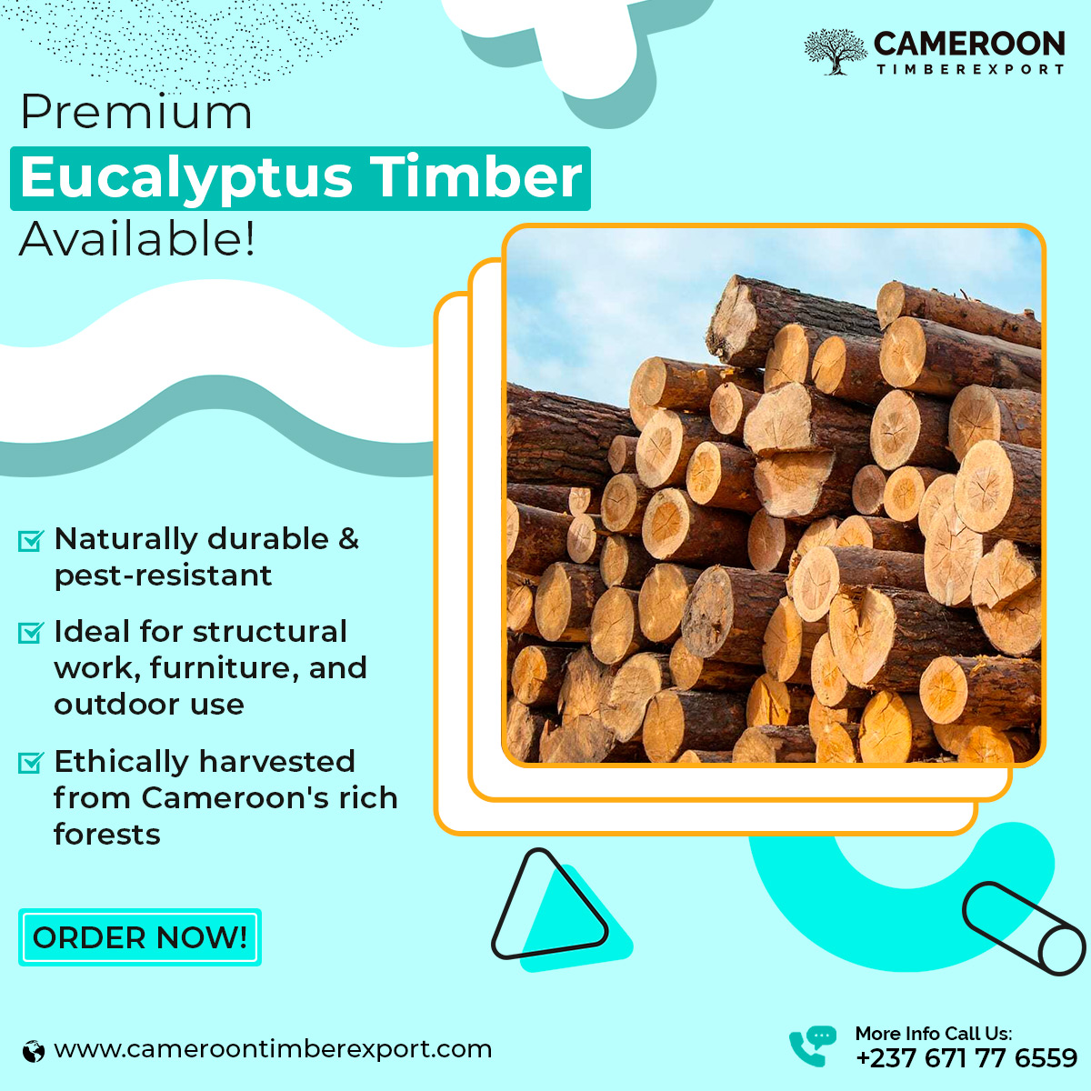 ExportTimber's tweet photo. Premium #Eucalyptus Timber Available!

✔️ Naturally #durable &amp; pest-resistant
✔️ Ideal for structural work, #furniture, and outdoor use
✔️ Ethically harvested from Cameroon's rich forests
Order Now!

Visit: https://t.co/6pJCkycwnm https://t.co/i3lqALRbtq