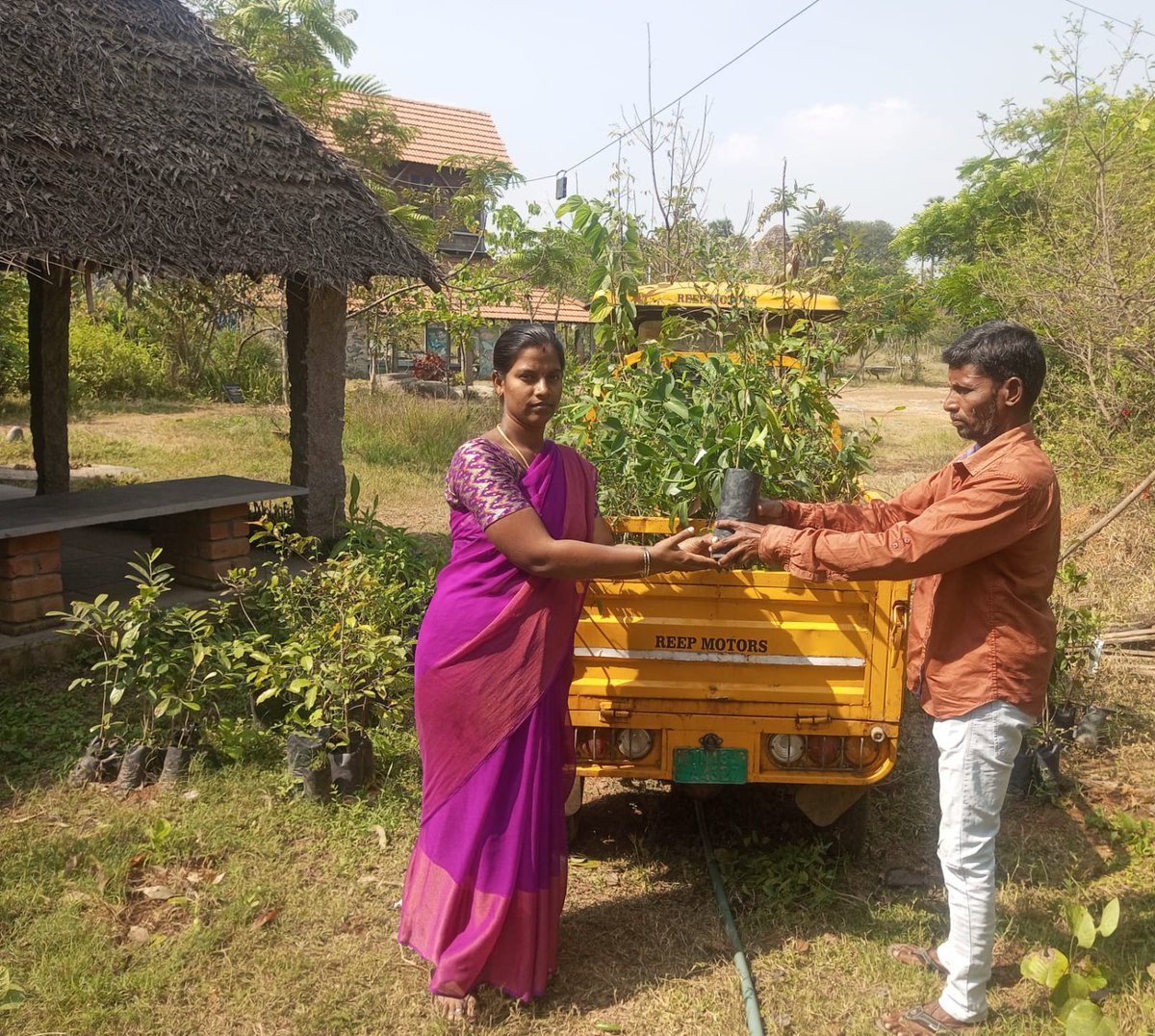 pitchandikulam's tweet photo. Promoting Green Cover 
At Nanneer Park, our nursery nurtures native plants for a greener tomorrow! With support from @TataComm, we distributed 620+ saplings to schools &amp; communities—boosting biodiversity, afforestation &amp; awareness. 
#GreenCover #EcoAction #CSR https://t.co/0sVIuYYLZQ