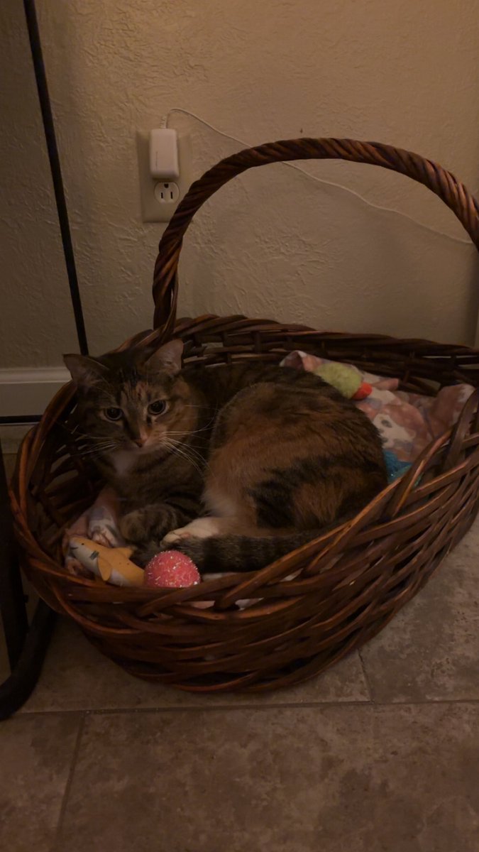 Are you going to look at her and judge me for saying I’d be dead without her??? HMMM???