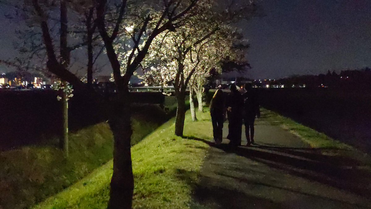 ＼夜桜を見ながら散歩はいかが？🌸／
先日、新三田駅近くの河川敷を歩きました！

夜桜も良いですね！