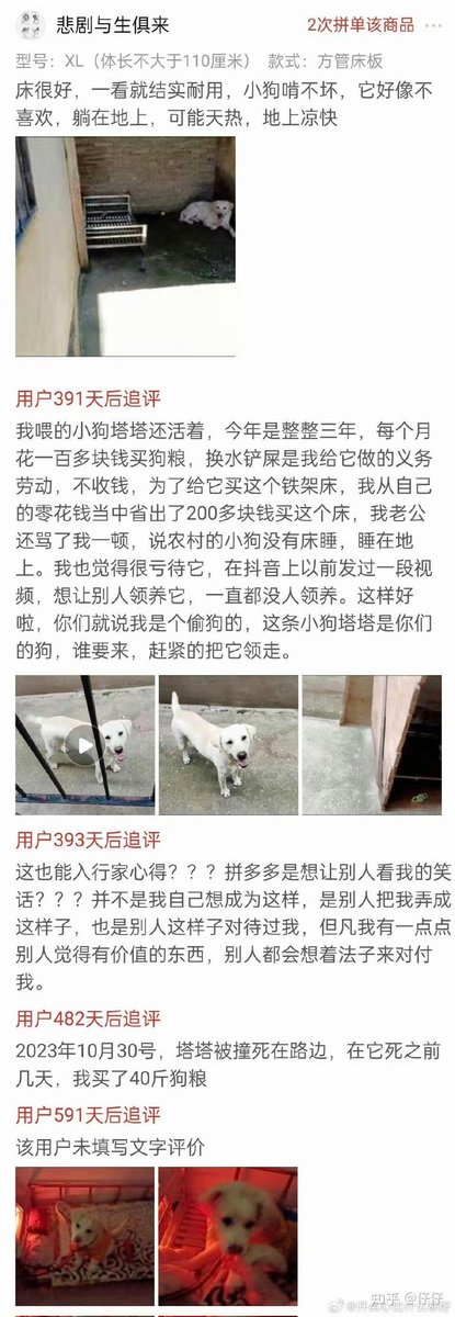 lidang 立党 （劝人卖房/学CS/买SP500/纳100/OpenAI/Anthrop第一人） tweet media