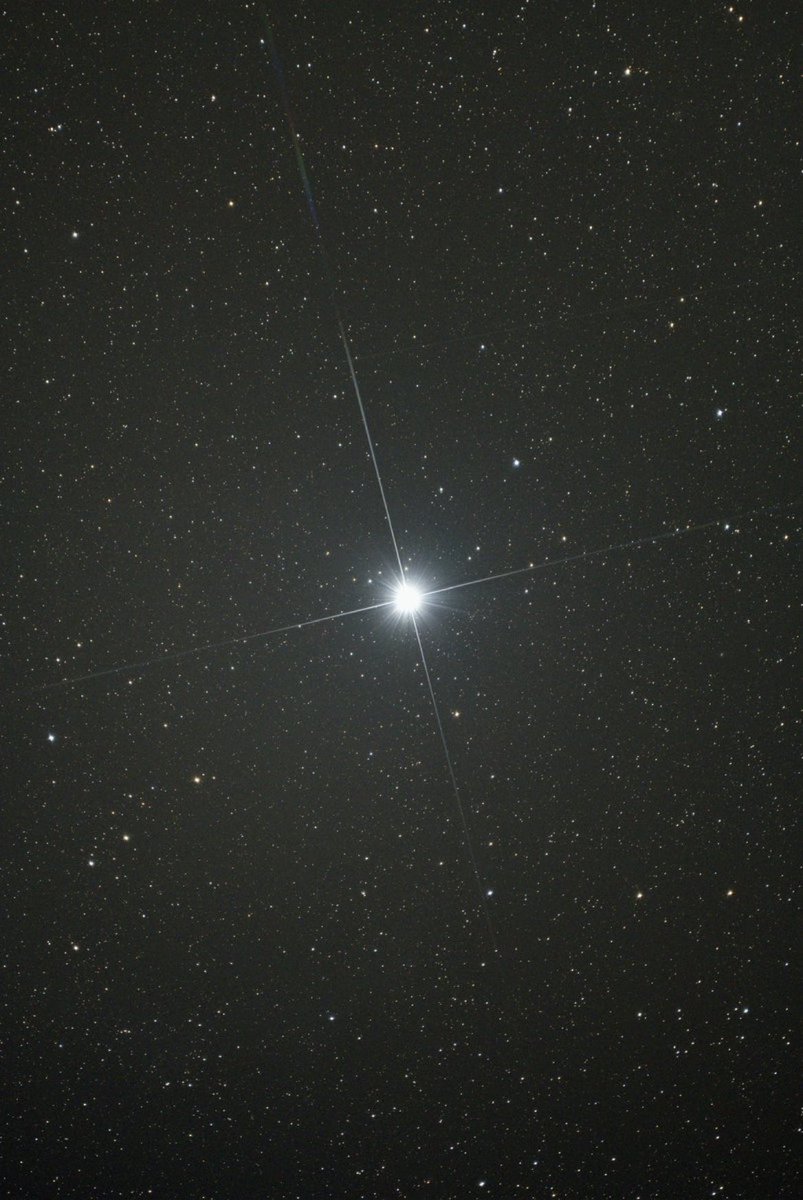 M1ONLOVER's tweet photo. Sirius ✨, captured a few minutes ago. No edits https://t.co/lStglxGAZK