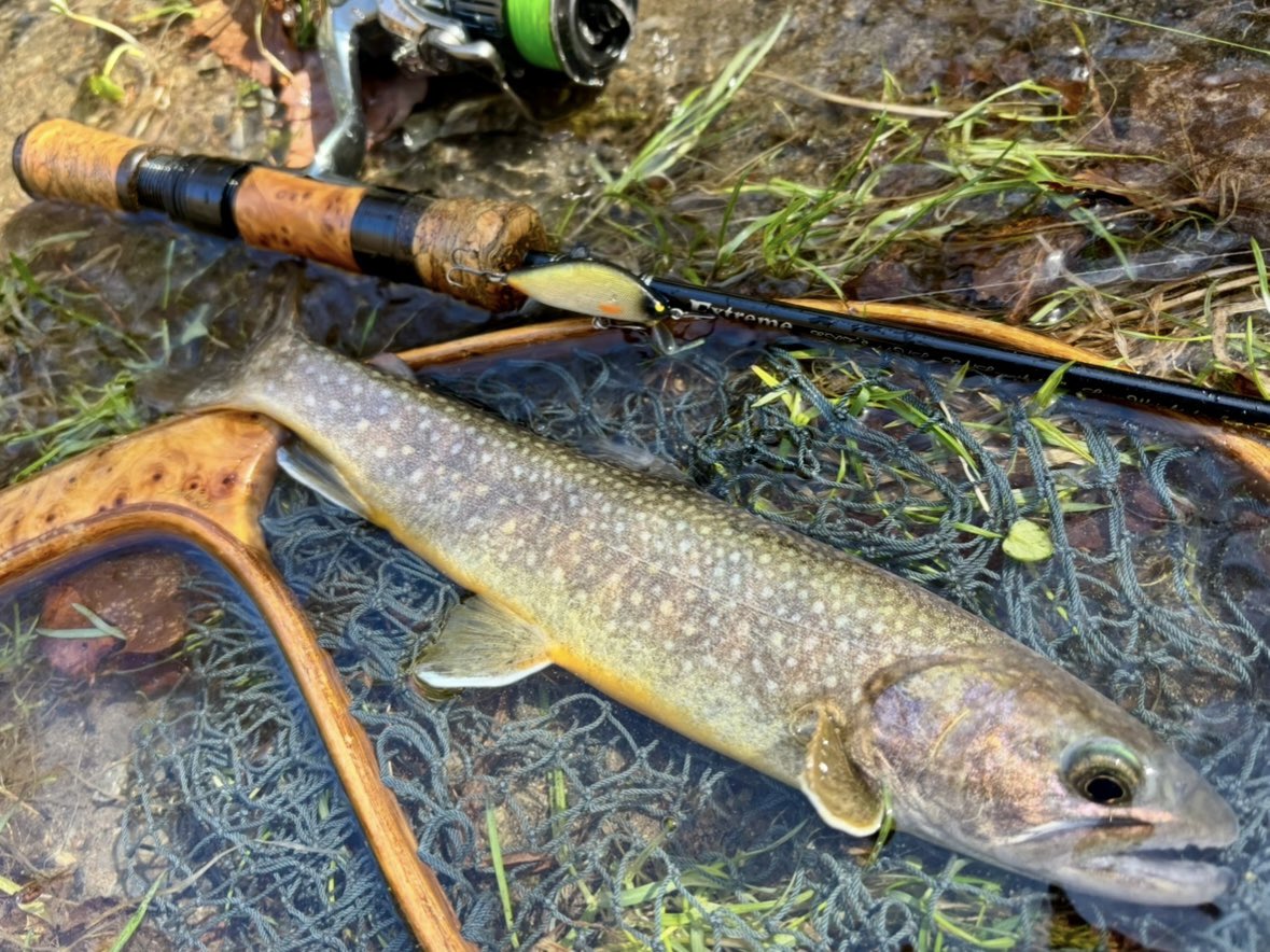 tencho_last1997's tweet photo. 先週の続き釣行🎣
先週よりも更に増水。高巻きばかりで時間がかかり予定の半分も進めずに遡行断念😵
#lurefishing
#exts44ul
#exts46ul
#exts464ul
#exts503ul
#exts48xl
#exts52xl
#山女魚
#岩魚
#山女魚ネット
#awayco
#awayco40s
#桜
#桜満開 https://t.co/PKg0BuR2Lv