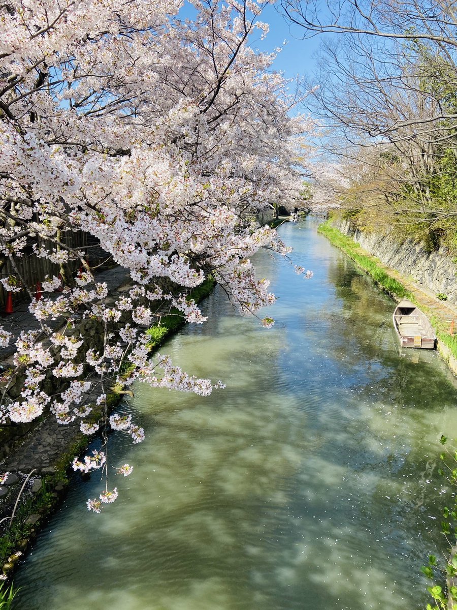 今年も築３年の別荘🏠に
お客さんがやってきました。🐤
外構工事も終わり
内装工事もまもなく終了しそうです。
#彦根城　＃八幡堀　＃大江運送
