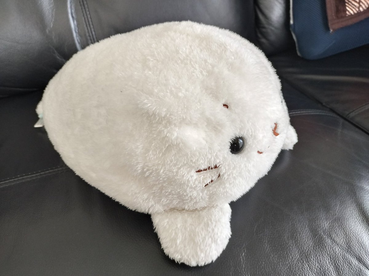 🦭「じー( =•ω•=) 🐰」 🦭「( =•ω•=)ﾊﾟｸｯ」