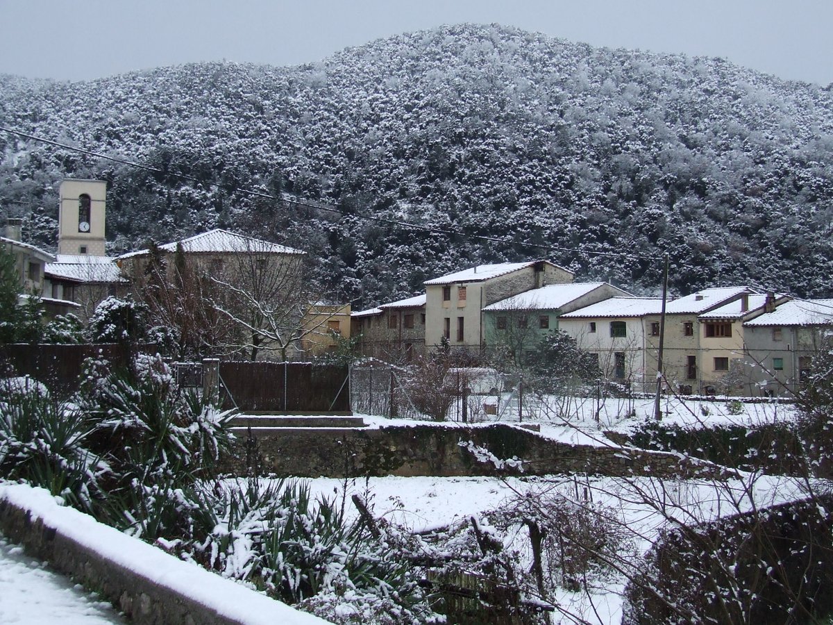 Argelaguer expedient de modificació de crèdit núm. 2/2025
ssl4.ddgi.cat/bopV1/pdf/2025…
#Garrotxa Garrotxa #laGarrotxa laGarrotxa #AltaGarrotxa AltaGarrotxa #Argelaguer Argelaguer #Olot Olot #Besalu Besalu