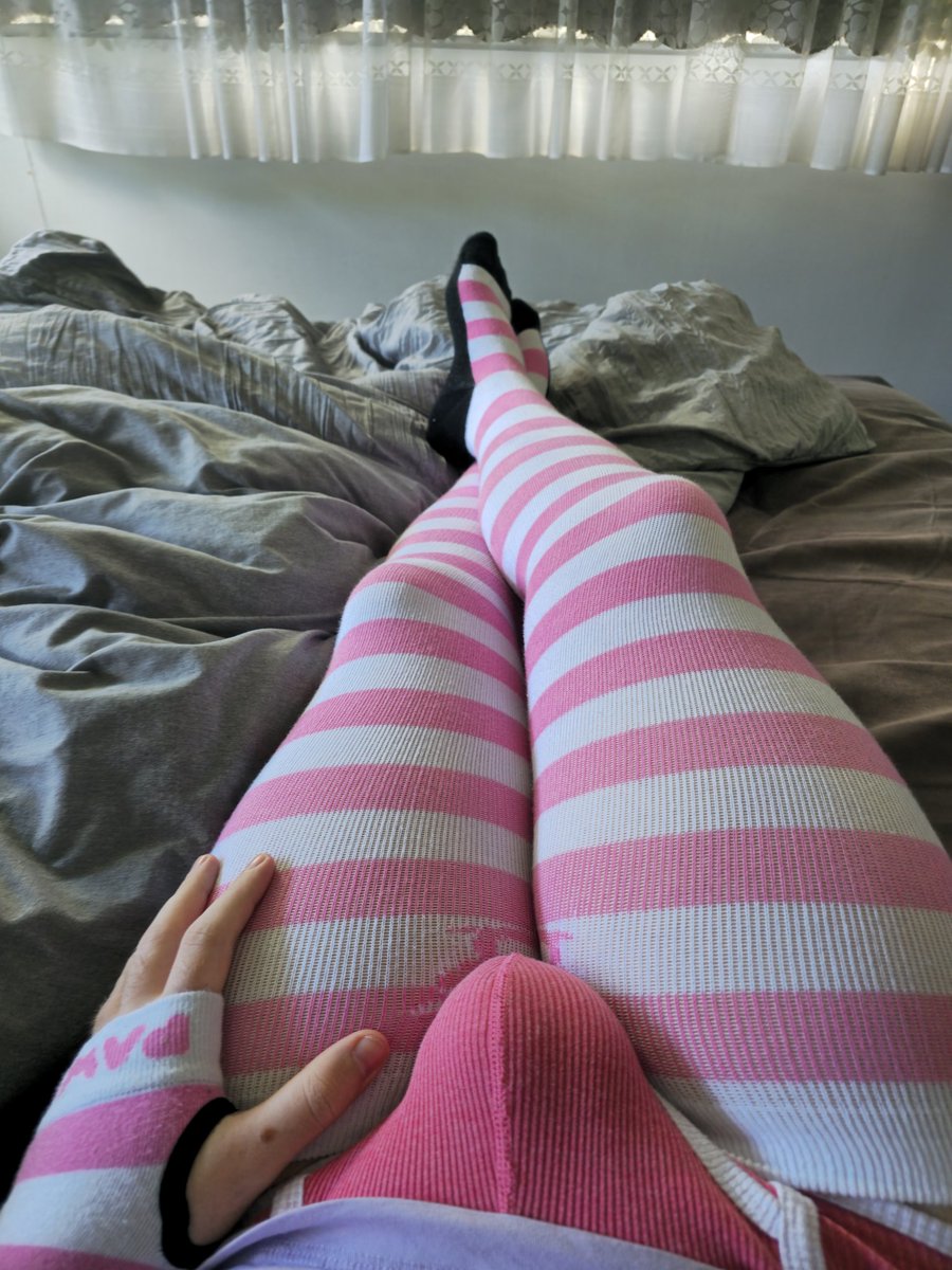 Sol The Dumb Lewd Fox tweet media