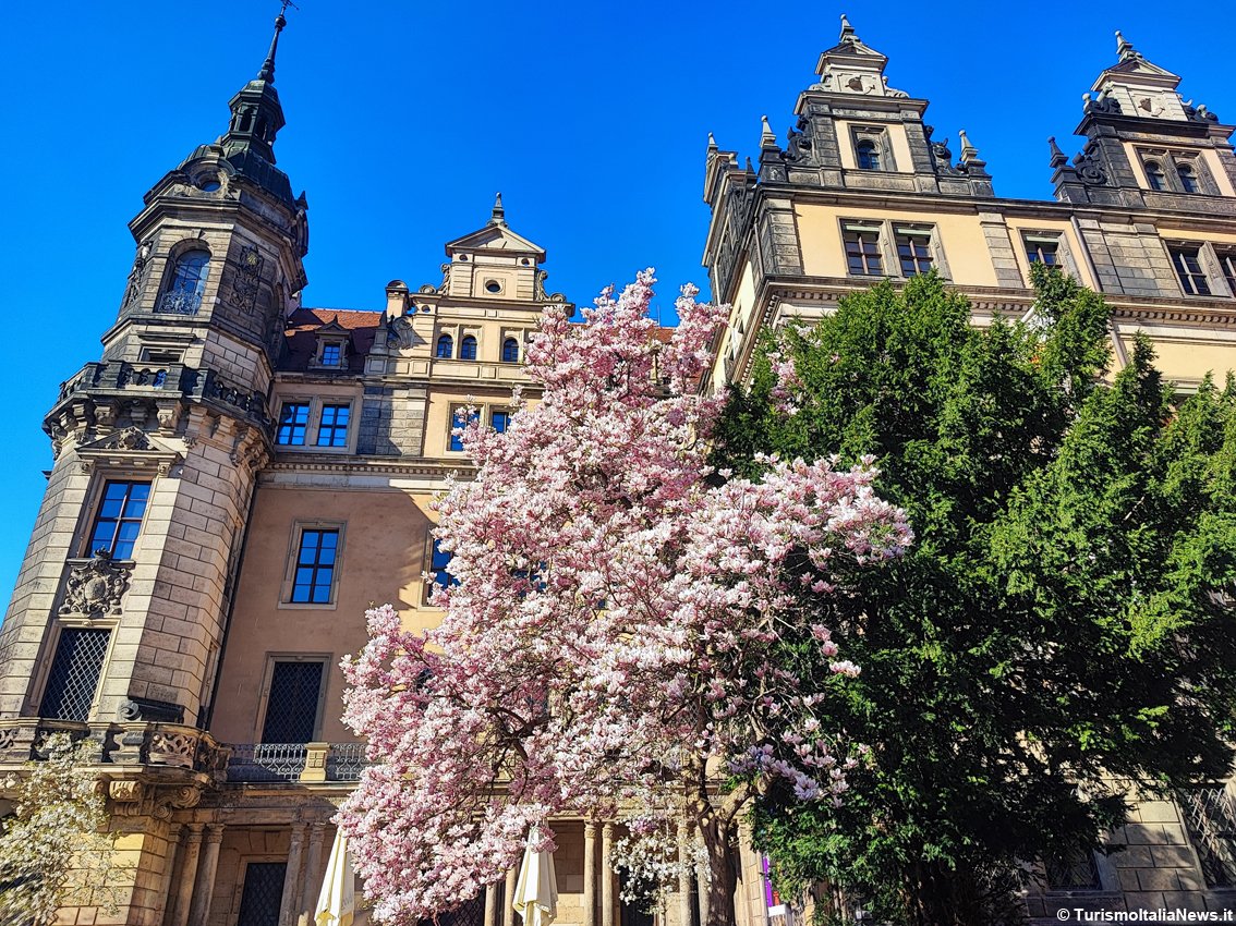 TurismoItaliaNw's tweet photo. Germania, ecco l’araba fenice d’Europa: Dresda racconta una storia di rinascita e di bellezza ritrovata. Ecco perché venire a vederla
Leggi la notizia https://t.co/fk1I3YkHm4
#dresda #turismo #germany #germanytourism #Sassonia #visitdresden @GermanyTourism @stadt_dresden https://t.co/Axfa0FAgIy