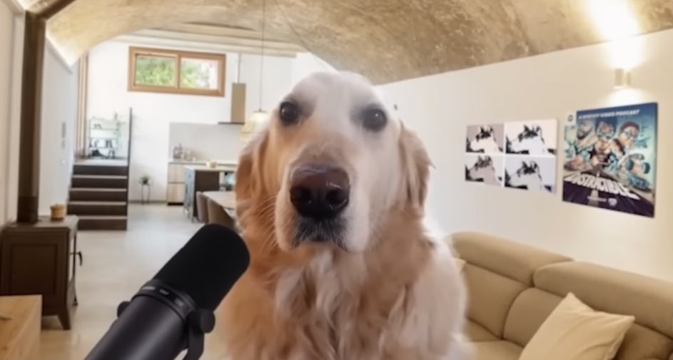 heavenlydovey's tweet image. I miss her bro