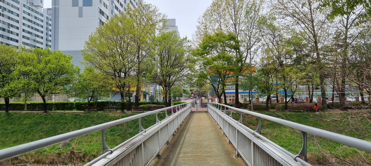 끝을 알 수 없는 길을 간다
보폭도 다르고
속도도 다르고
팔자걸음이라 밟을지도 모르고
.... 그냥 간다

짪은 시간에
함께하기로 한 결정이기에
서로에게 서투른게 당연하고
오늘도 내일도 ...
투닥털털삐거덕거리며
.... 그냥 간다

시간이 흐르며
조금씩 익숙해지기에
꼬옥 잡은 손 놓진 않겠다